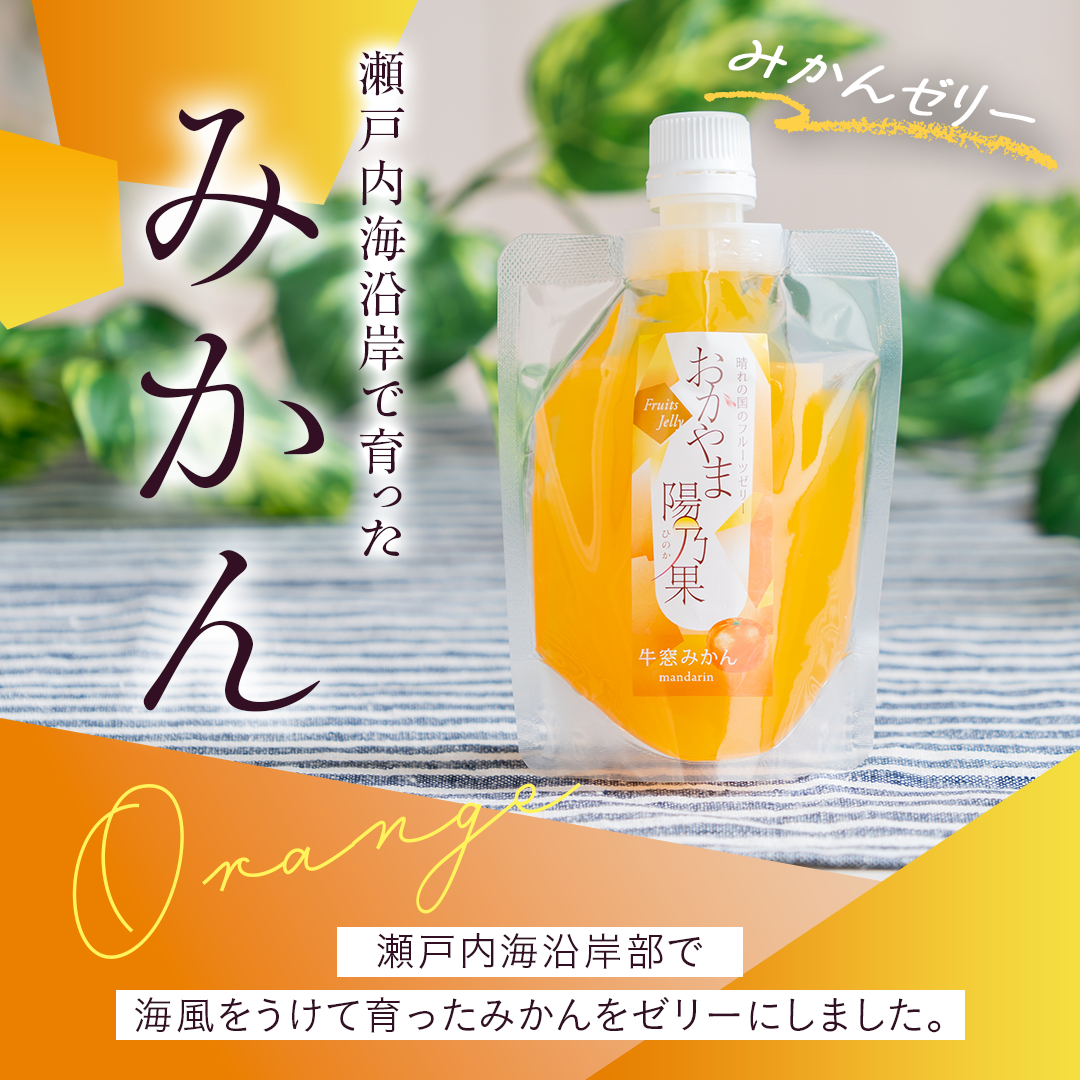 おかやま陽乃果 飲むゼリー 10個入