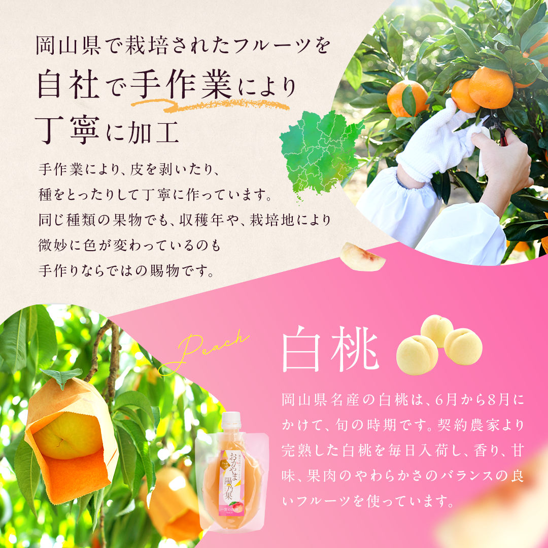 【期間限定!お試しセット】おかやま陽乃果 飲むゼリー 3個入