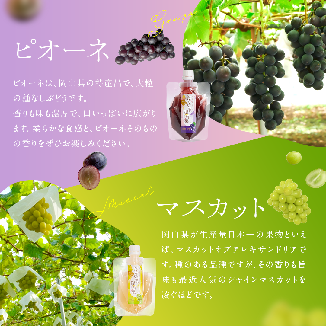 【期間限定!お試しセット】おかやま陽乃果 飲むゼリー 3個入