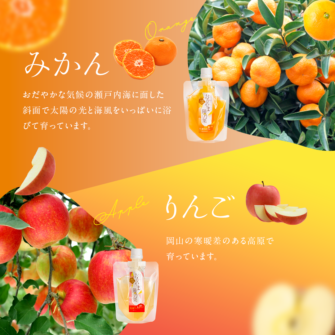 おかやま陽乃果 飲むゼリー 12個入