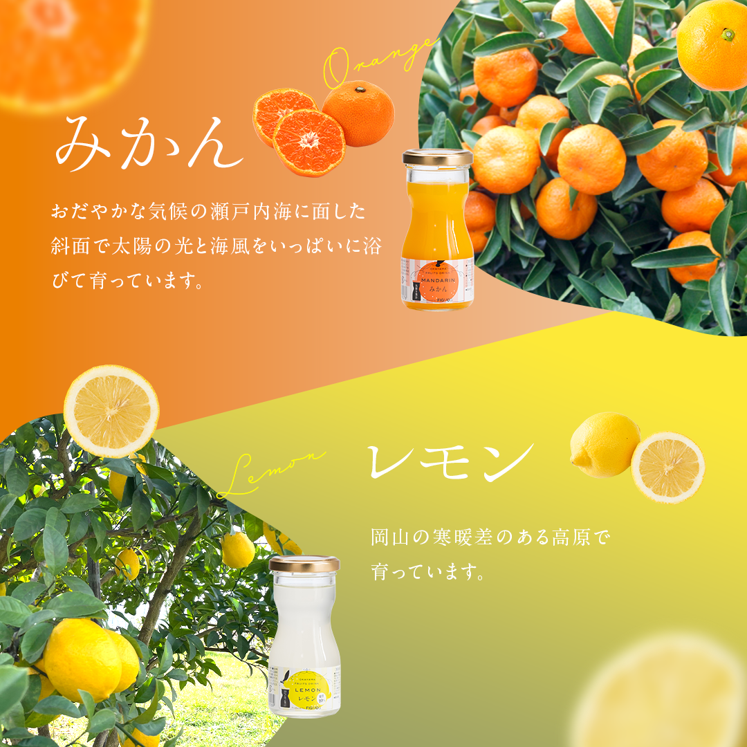 岡山果汁ものがたり 丸搾りジュースセット